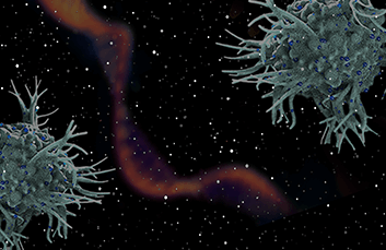 A digital illustration depicting two light gray, spiky cell-like structures with blue dots scattered on their surface. The cells are positioned on a dark background with numerous small, white dots, resembling stars. In the center of the image, a blurry, ribbon-like streak of orange and purple hues creates an aurora-like effect. This image likely represents a microscopic view of cells in a stylized, artistic manner.